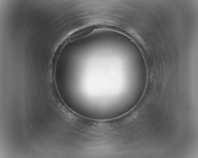 X0000071930877200607212131