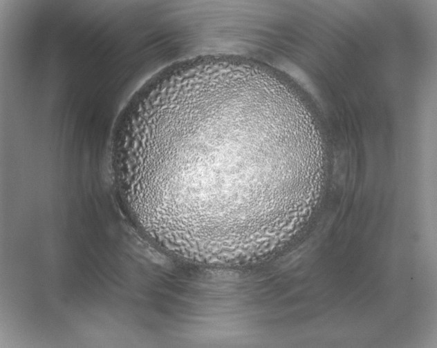 X0000071930878200607212131