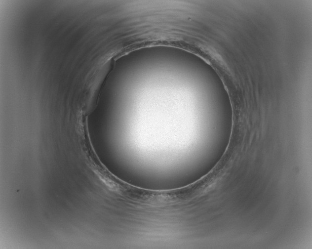 X0000071930881200607212131
