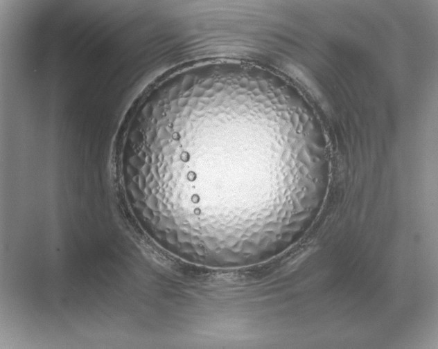 X0000071930883200607212131