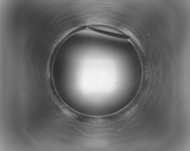 X0000071930885200607212131