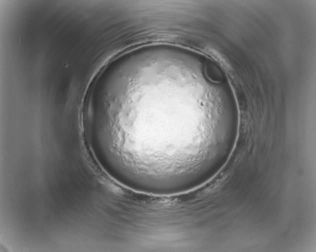 X0000071930891200607212131