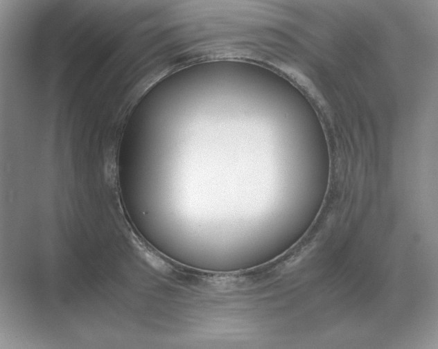 X0000071930897200607212131