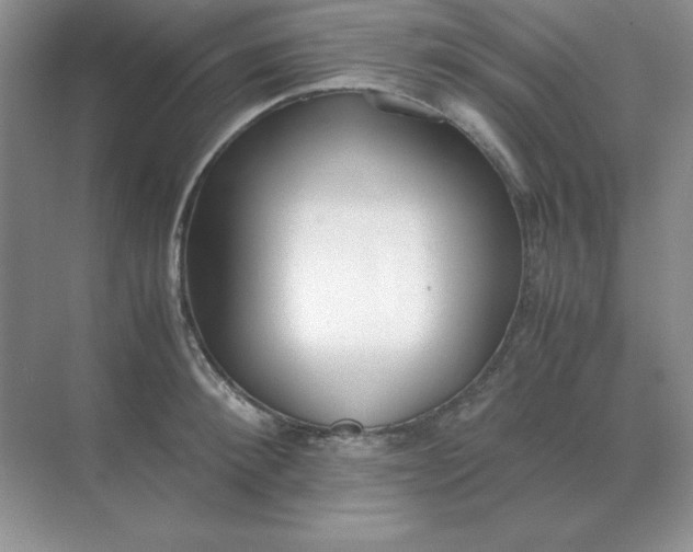 X0000071930900200607212131