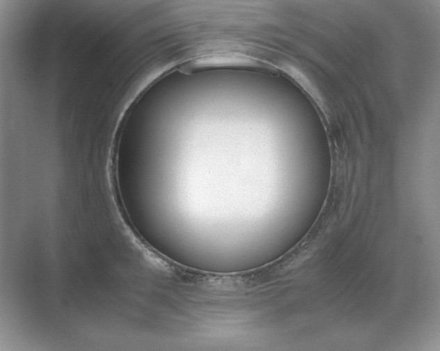X0000071930901200607212131