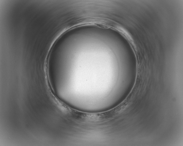 X0000071930907200607212131