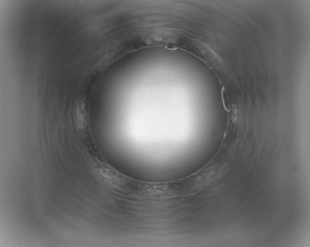 X0000071930915200607212130