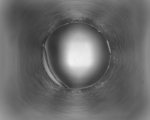 X0000071930916200607212130
