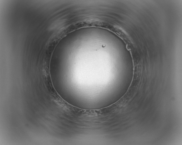 X0000071930919200607212130