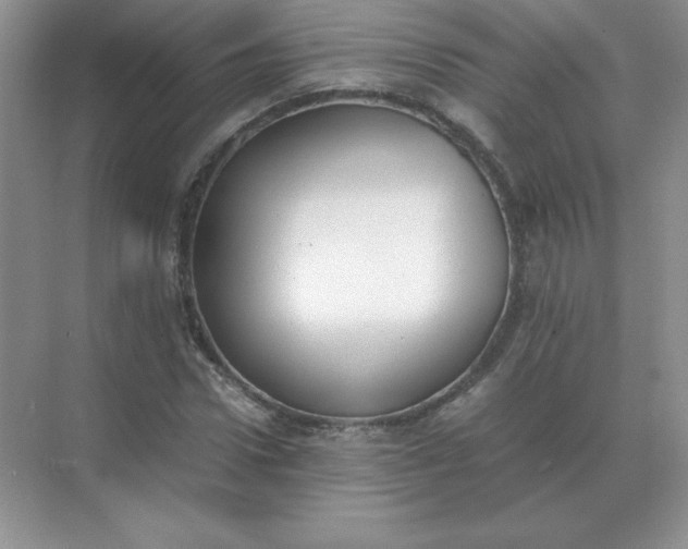 X0000071930922200607212130