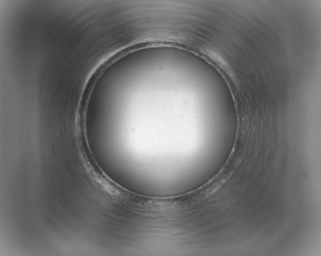 X0000071930928200607212130