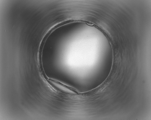 X0000071930932200607212130