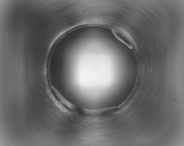 X0000071930944200607212130