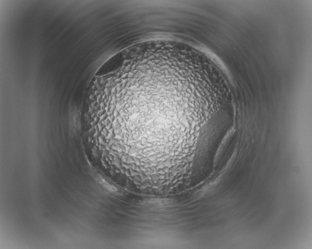 X0000071930953200607212130