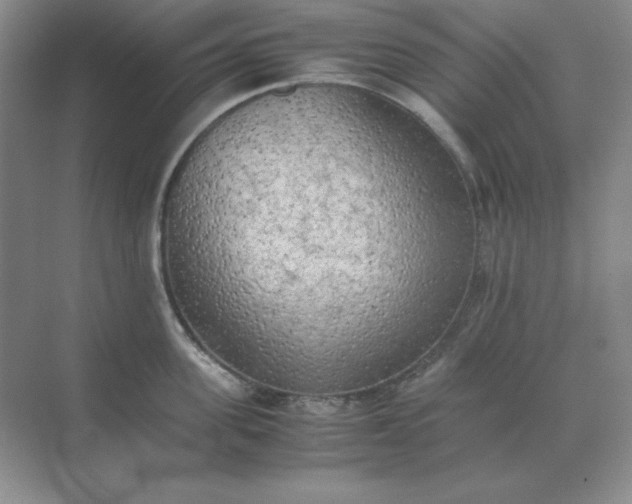 X0000071930955200607212131