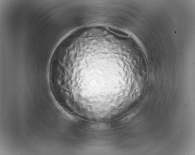 X0000071930957200607212131