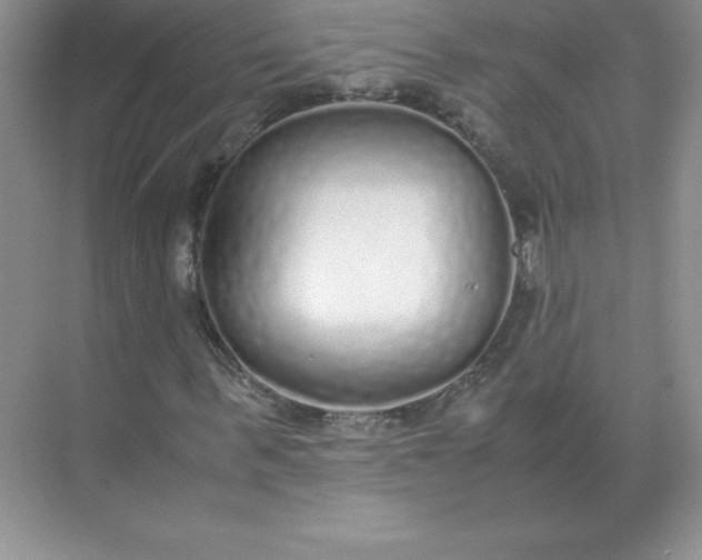 X0000071930963200607212130