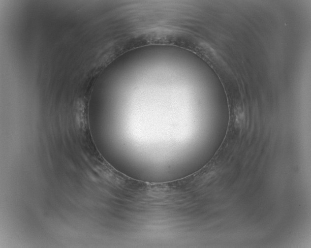 X0000071930964200607212130