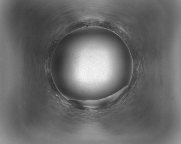 X0000071930965200607212130