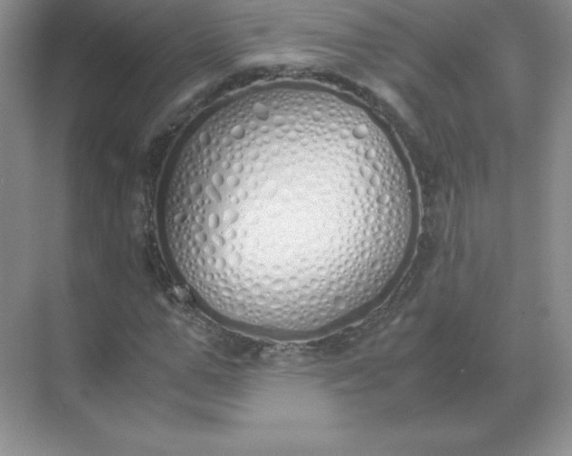 X0000071930967200607212130