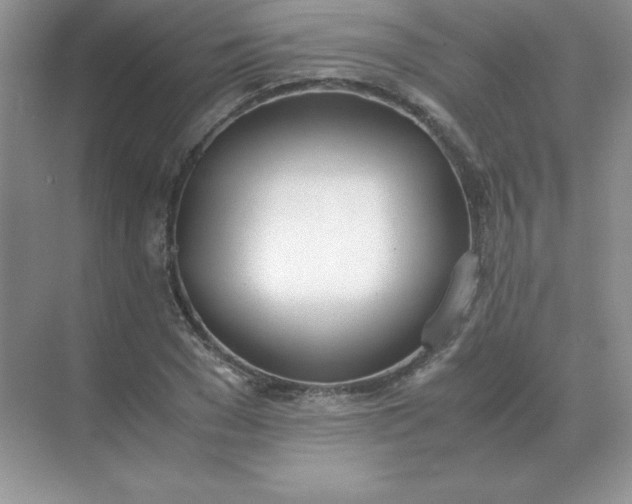 X0000071930977200607212130