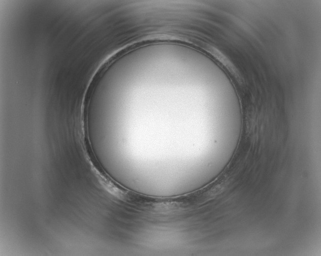 X0000071930988200607212129