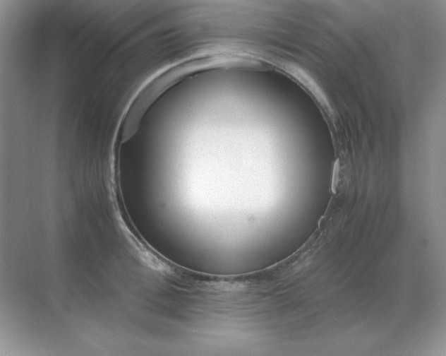 X0000071930996200607212129