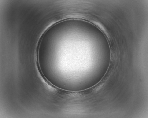 X0000071930999200607212129