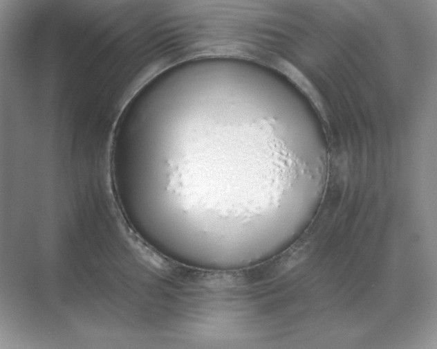 X0000071931002200607212129