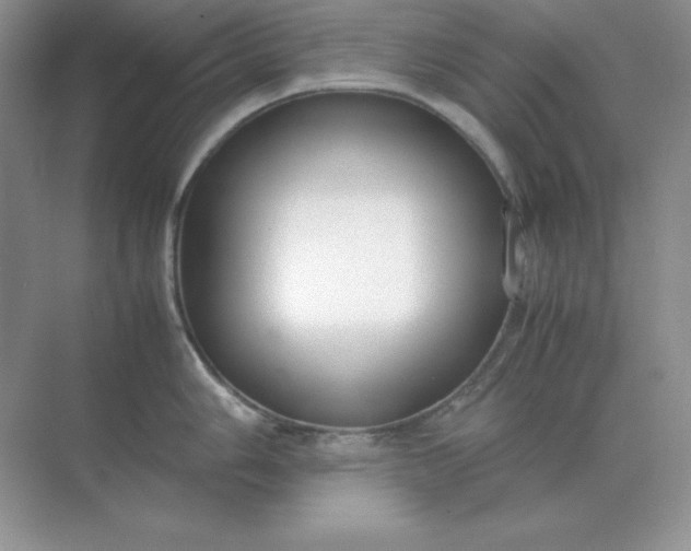 X0000071931006200607212129