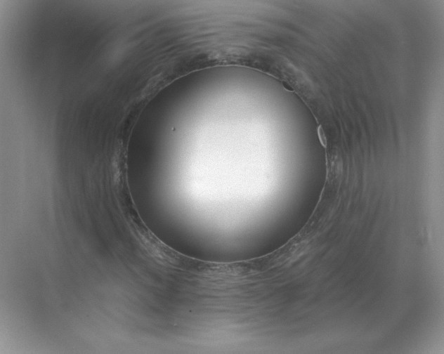 X0000071931012200607212128