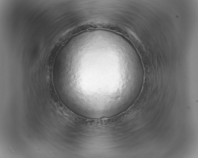 X0000071931016200607212128