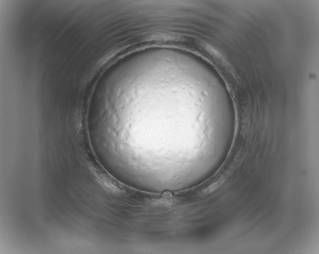 X0000071931017200607212128