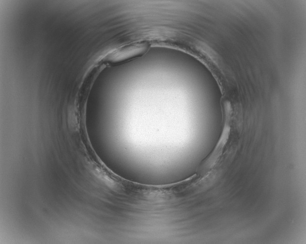X0000071931018200607212128