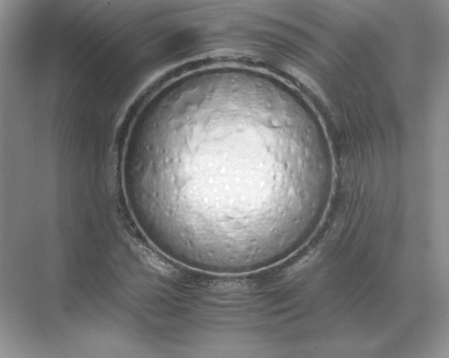 X0000071931021200607212128