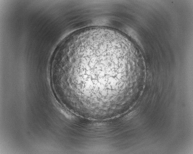 X0000071931035200607212129