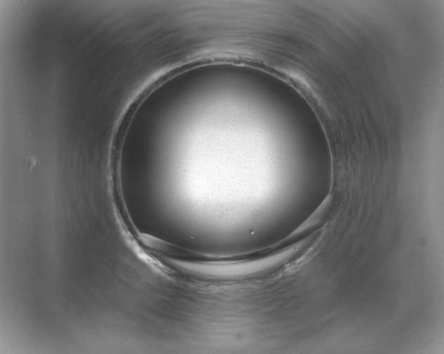 X0000071931038200607212129