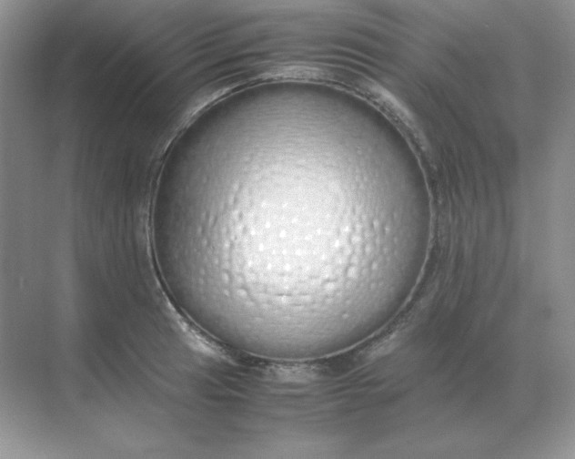 X0000071931041200607212129