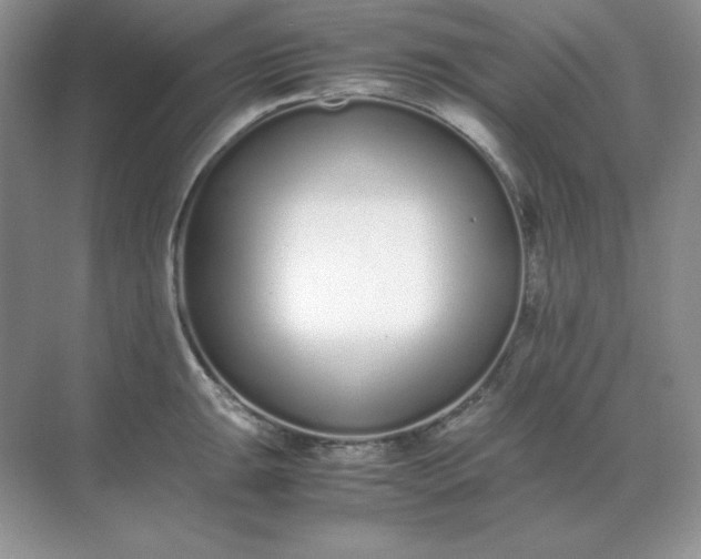 X0000071931047200607212129