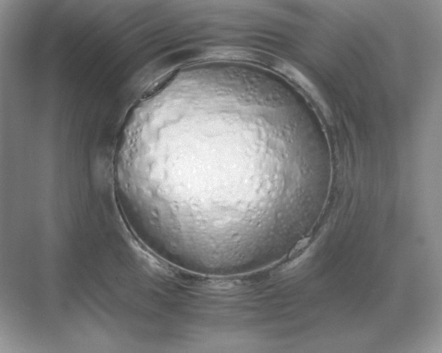 X0000071931049200607212129