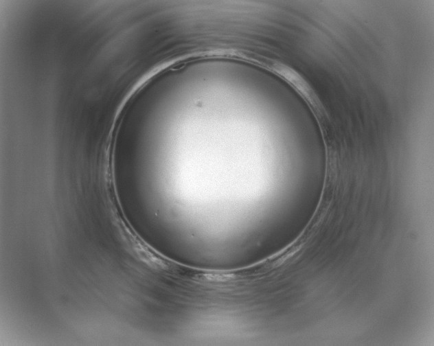 X0000071931052200607212129