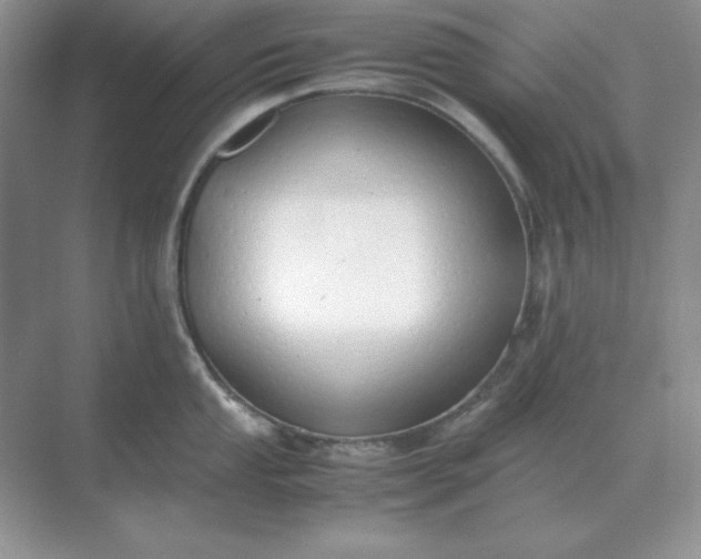 X0000071931053200607212129