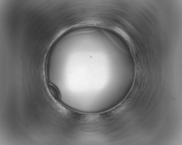 X0000071931055200607212129