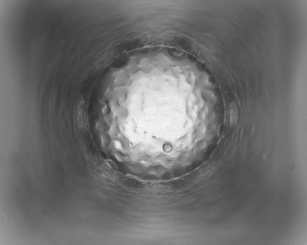 X0000071931059200607212128