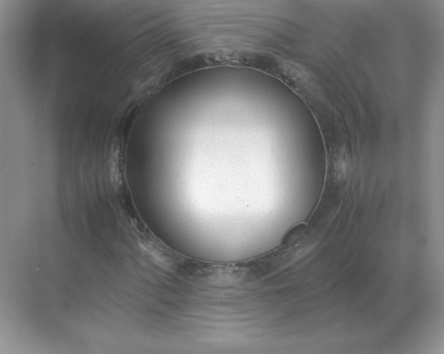 X0000071931060200607212128