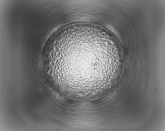 X0000071931067200607212128
