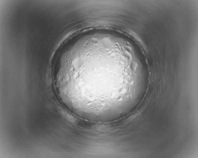 X0000071931075200607212128