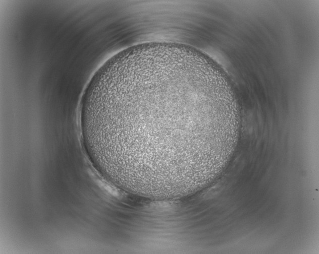 X0000071931078200607212128