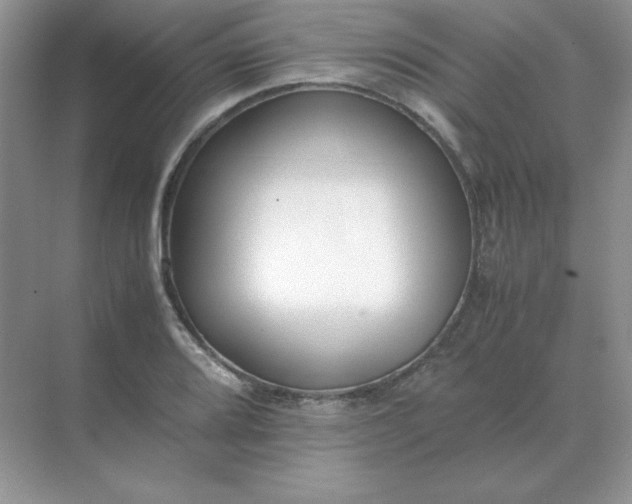 X0000071931080200607212128