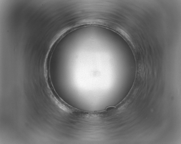 X0000071931082200607212128